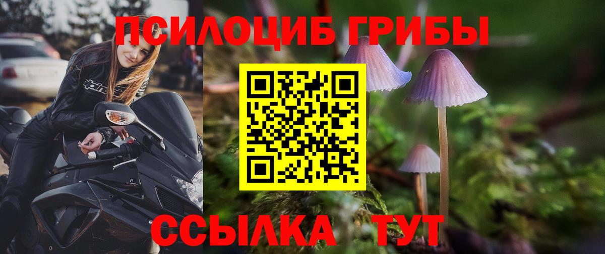 Галлюциногенные грибы Psilocybe  Вход с VPN  Лосино-Петровский 